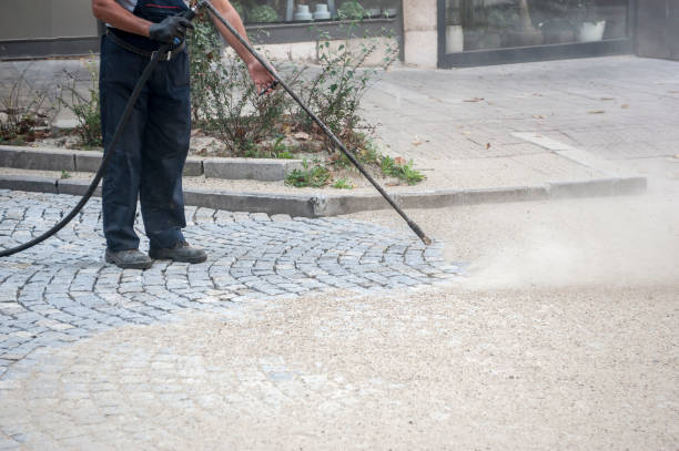 Best Driveway Pressure Washing  in Poth, TX