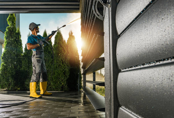 Best Solar Panel Cleaning  in Poth, TX